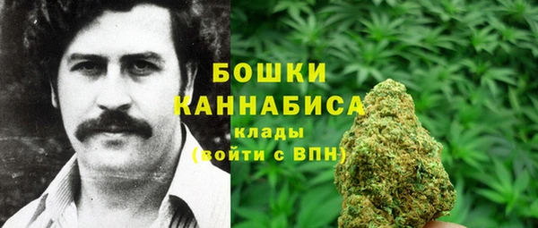 2c-b Алзамай