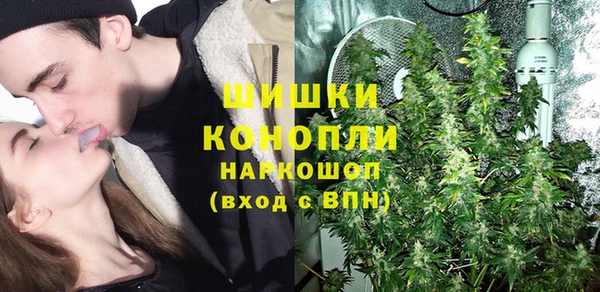 шишки Алексин