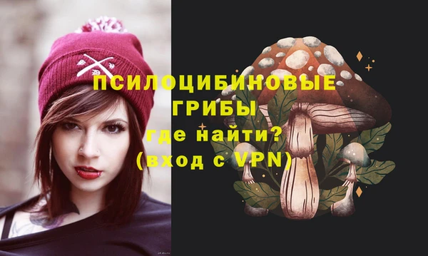 2c-b Алзамай